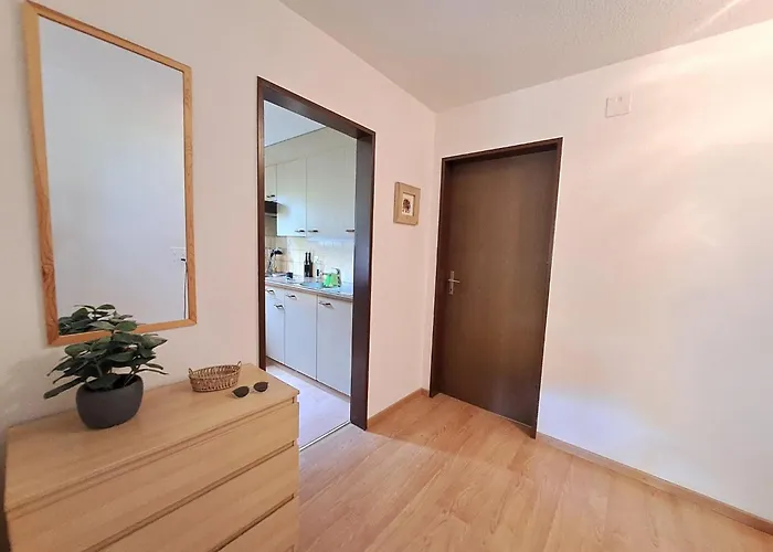 Apartment Bergluft By Interhome Zweisimmen